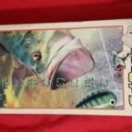 DC – Sega Bass Fishing & Controller – JAP – Complete