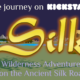 Silk, la via della Seta parte da Kickstarter